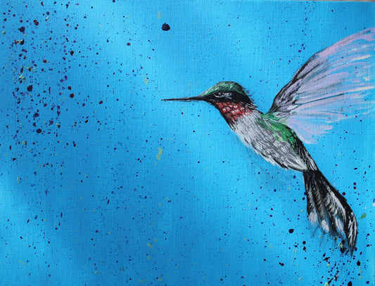 Colibri